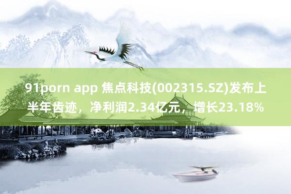91porn app 焦点科技(002315.SZ)发布上半年齿迹,净利润2.34亿元,增长23.18%