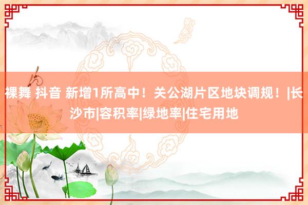 裸舞 抖音 新增1所高中！关公湖片区地块调规！|长沙市|容积率|绿地率|住宅用地