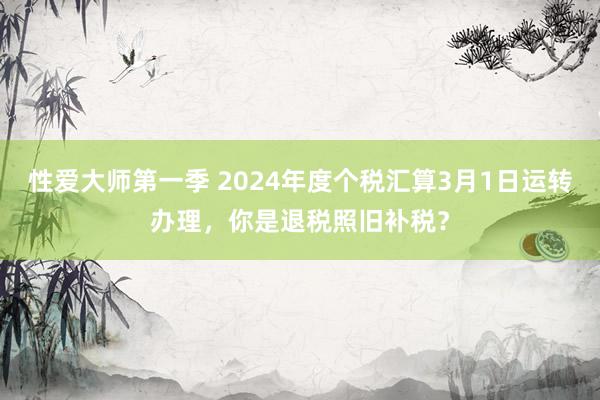 性爱大师第一季 2024年度个税汇算3月1日运转办理，你是退税照旧补税？