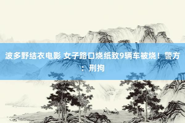 波多野结衣电影 女子路口烧纸致9辆车被烧！警方：刑拘
