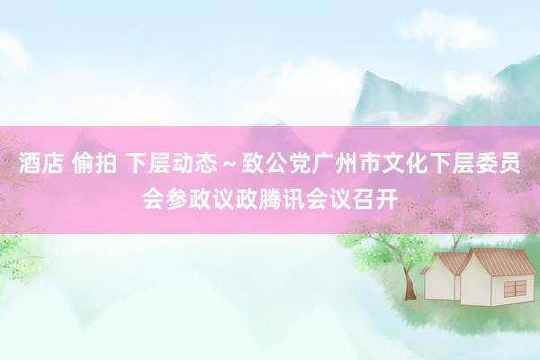 酒店 偷拍 下层动态～致公党广州市文化下层委员会参政议政腾讯会议召开