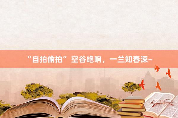 “自拍偷拍” 空谷绝响，一兰知春深~