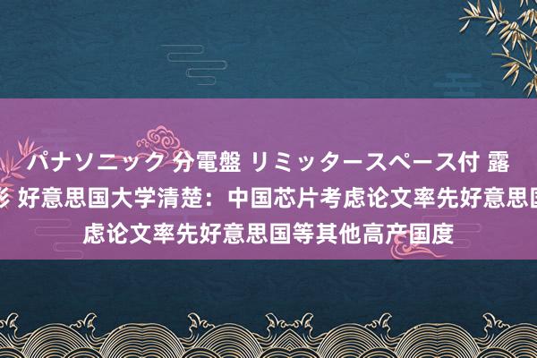 パナソニック 分電盤 リミッタースペース付 露出・半埋込両用形 好意思国大学清楚：中国芯片考虑论文率先好意思国等其他高产国度