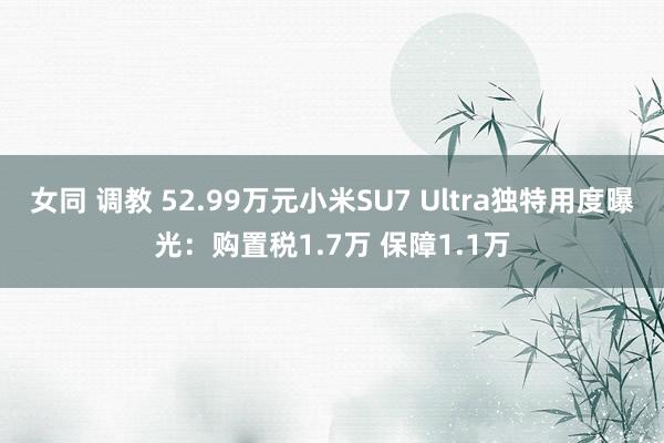 女同 调教 52.99万元小米SU7 Ultra独特用度曝光：购置税1.7万 保障1.1万
